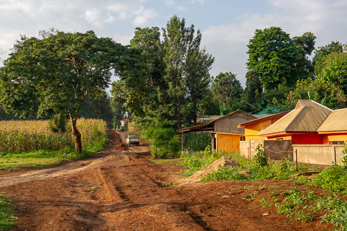 _DSC6946.jpg _DSC6946.jpg