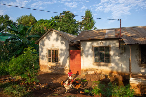 _DSC6947.jpg _DSC6947.jpg