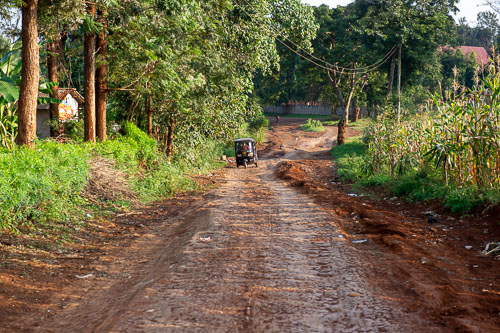 _DSC6950.jpg _DSC6950.jpg