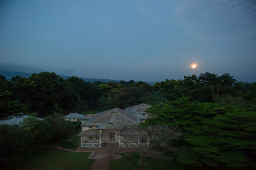 _DSC6987.jpg _DSC6987.jpg