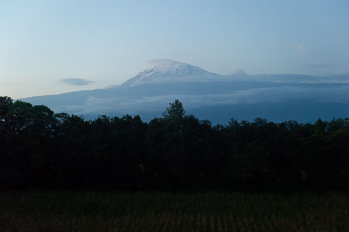 Kilimandjaro _DSC6989.jpg