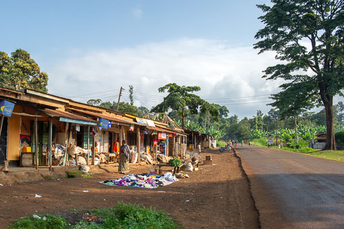 _DSC7128.jpg _DSC7128.jpg