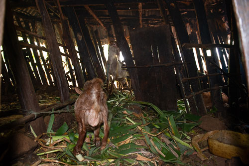 _DSC7176.jpg _DSC7176.jpg