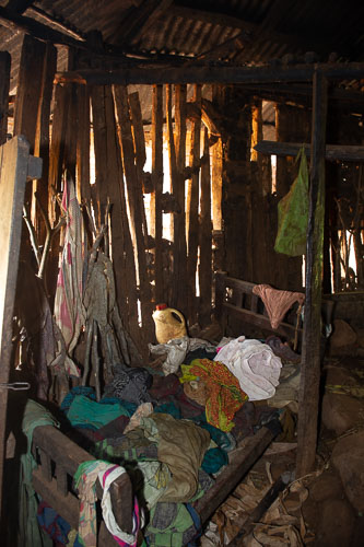 _DSC7177.jpg _DSC7177.jpg