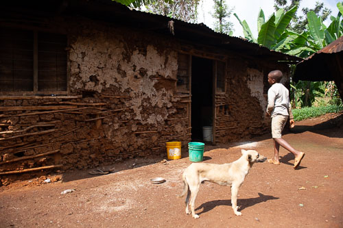 _DSC7182.jpg _DSC7182.jpg