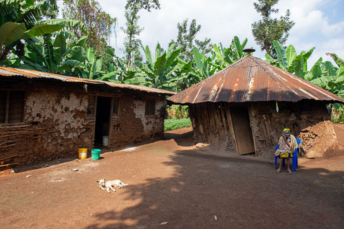 _DSC7189.jpg _DSC7189.jpg