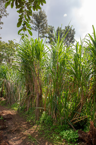 _DSC7220.jpg _DSC7220.jpg