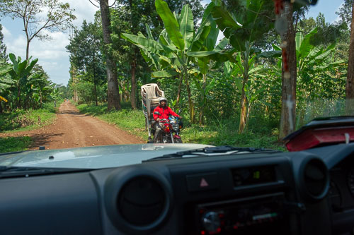 _DSC7233.jpg _DSC7233.jpg