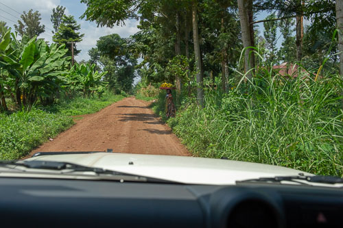 _DSC7234.jpg _DSC7234.jpg