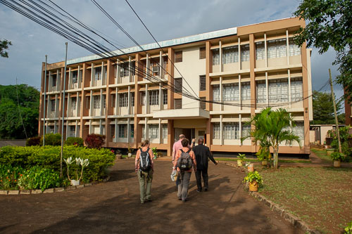 _DSC7260.jpg _DSC7260.jpg