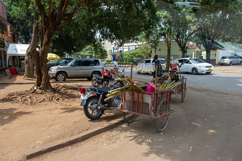 _DSC7268.jpg _DSC7268.jpg