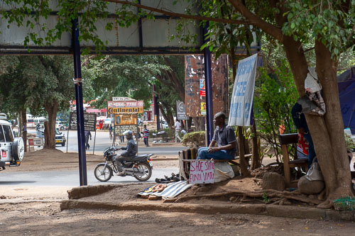 _DSC7273.jpg _DSC7273.jpg