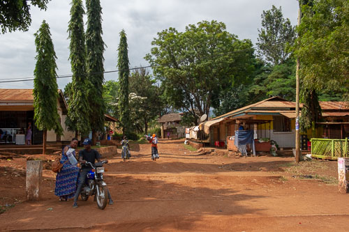 _DSC7288.jpg _DSC7288.jpg