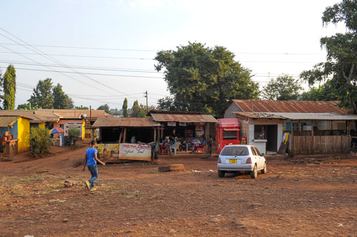 _DSC7328.jpg _DSC7328.jpg