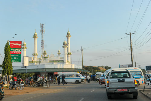 _DSC7330.jpg _DSC7330.jpg