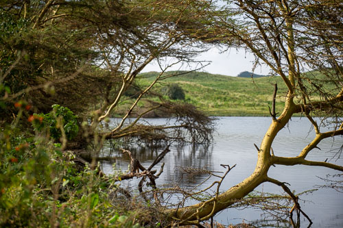 _DSC7443.jpg _DSC7443.jpg