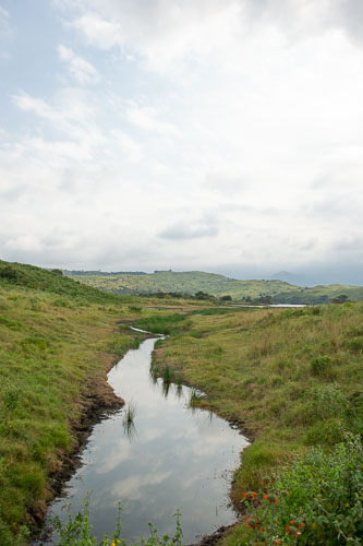 _DSC7447.jpg _DSC7447.jpg