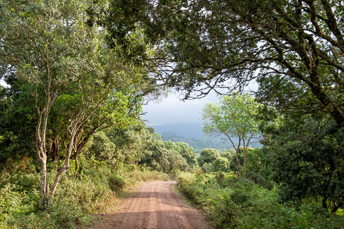 _DSC7449-180731-2390.jpg _DSC7449-180731-2390.jpg