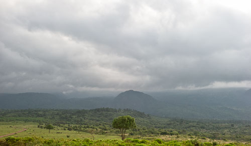 _DSC7450-180731-2391.jpg _DSC7450-180731-2391.jpg