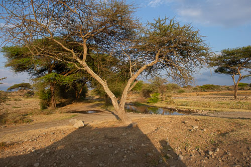 _DSC7452.jpg _DSC7452.jpg