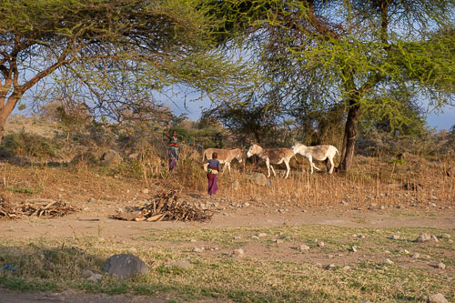 _DSC7454.jpg _DSC7454.jpg