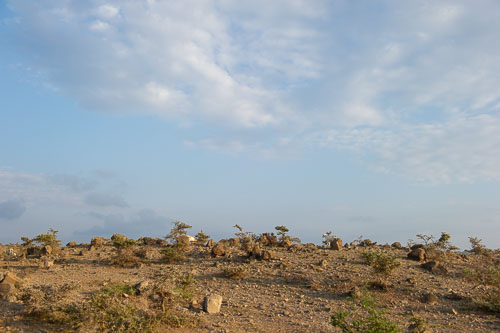 _DSC7458.jpg _DSC7458.jpg