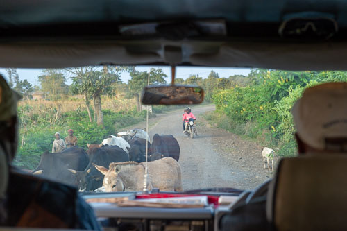 _DSC7472.jpg _DSC7472.jpg