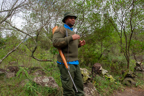 _DSC7491.jpg _DSC7491.jpg