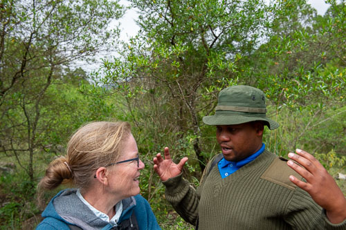 _DSC7492.jpg _DSC7492.jpg