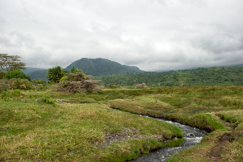 _DSC7497-180801-2397.jpg _DSC7497-180801-2397.jpg