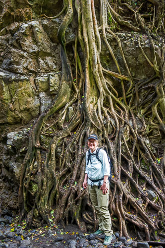 _DSC7518.jpg _DSC7518.jpg