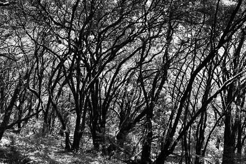 _DSC7535.jpg _DSC7535.jpg