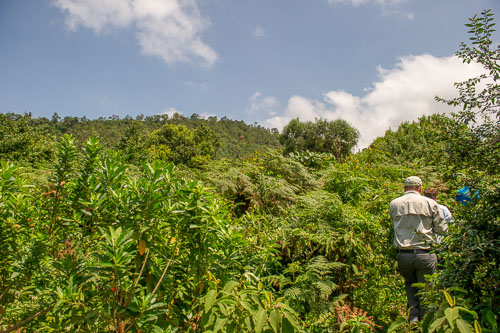 _DSC7538.jpg _DSC7538.jpg