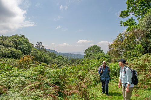 _DSC7541.jpg _DSC7541.jpg