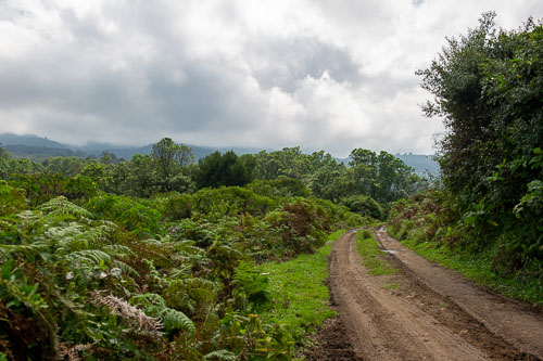 _DSC7546.jpg _DSC7546.jpg