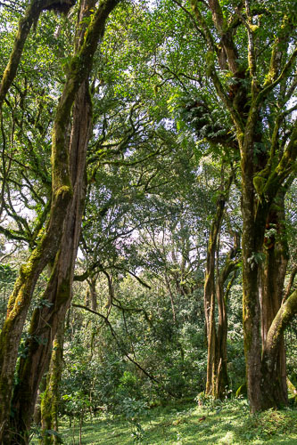 _DSC7557.jpg _DSC7557.jpg