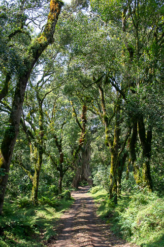 _DSC7559.jpg _DSC7559.jpg