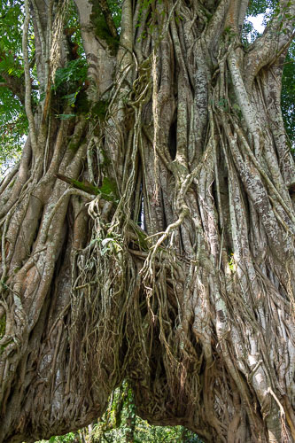 _DSC7584.jpg _DSC7584.jpg