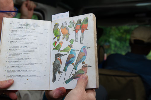 _DSC7600.jpg _DSC7600.jpg