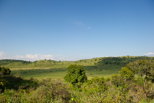 _DSC7601.jpg _DSC7601.jpg