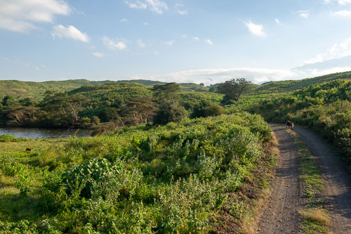 _DSC7606.jpg _DSC7606.jpg