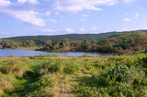 _DSC7609.jpg _DSC7609.jpg