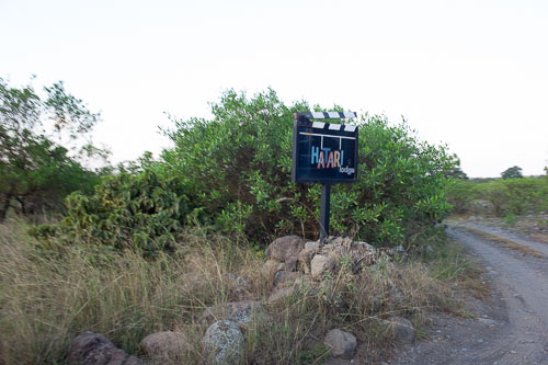 Hatari Lodge _DSC7632.jpg
