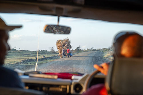 _DSC7642.jpg _DSC7642.jpg