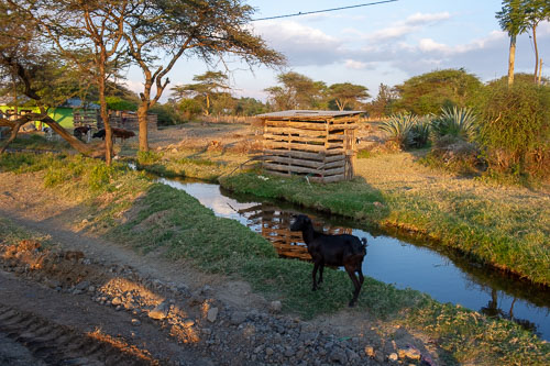 _DSC7644.jpg _DSC7644.jpg