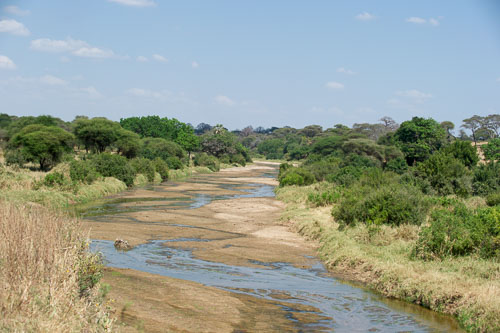 _DSC7769-180802-2424.jpg _DSC7769-180802-2424.jpg