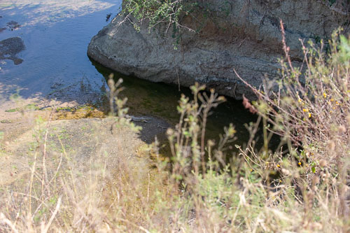 Nilwaran _DSC7770.jpg