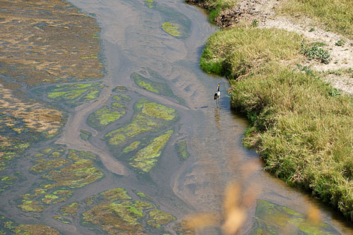 _DSC7781-180802-2430.jpg _DSC7781-180802-2430.jpg