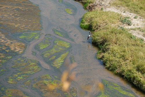 _DSC7783.jpg _DSC7783.jpg