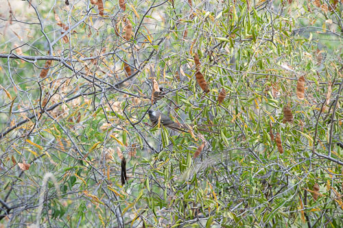 _DSC7802.jpg _DSC7802.jpg